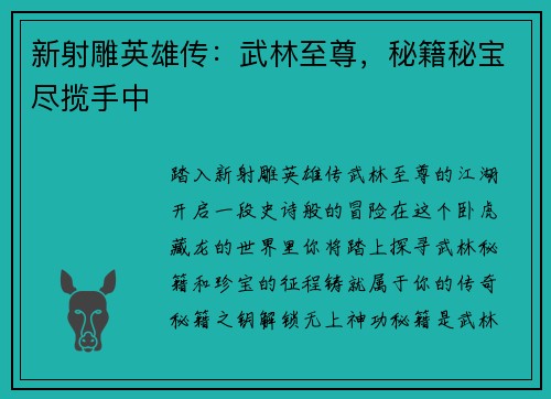 新射雕英雄传：武林至尊，秘籍秘宝尽揽手中